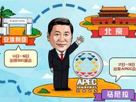 习近平出席G20、APEC成果