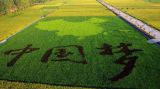 十八届五中全会的核心要点——五大发展理念