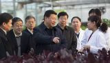 啃硬骨头 拿硬办法 打赢脱贫攻坚战