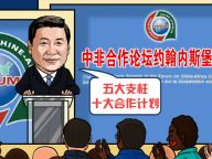 习近平“说”约翰内斯堡峰会