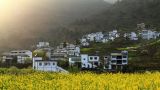 城乡一体化改革实践中的经验与挑战