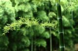 把“三严三实”融入深化改革实践