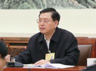 张德江参加人大常委会议及分组审议
