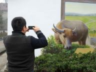 乡土3D画扮靓小小乡村壁画