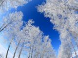 北国风光：不止是千里冰封、万里雪飘