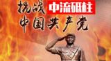 不可片面理解中国共产党在抗日战争中的中流砥柱作用