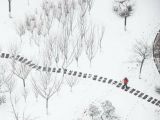 雪中漫步：多地出现降雪天气