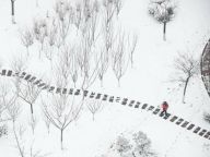 雪中漫步：多地出现降雪天气