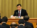 刘云山出席全国组织部长会议