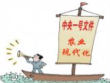 五个关键词看中央一号文件