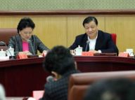 刘云山主持中央文明委全体会议