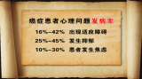 与肿瘤的相处之道（2）