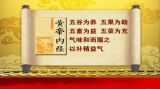 与肿瘤的相处之道（4）