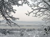 别样风景：雪后西湖游人如织