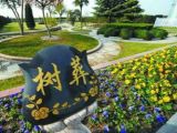 节地生态安葬：党员干部需带头