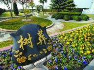 节地生态安葬：党员干部需带头