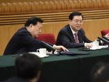 张德江参加浙江代表团审议