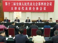 张高丽参加天津代表团审议
