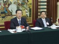 张高丽参加广西代表团审议