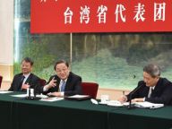 俞正声参加台湾代表团审议