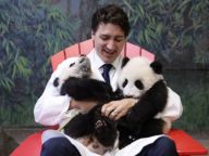 熊猫外交：加拿大总理“左拥右抱”