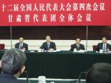 张高丽参加甘肃代表团审议