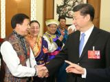习近平参加青海代表团审议
