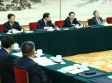 张德江参加山西代表团审议