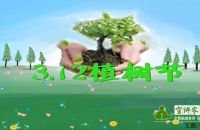 远离雾霾 从植树开始