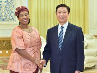 李源潮会见冈比亚外长盖伊