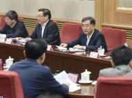 汪洋出席全国绿化委员会全体会议