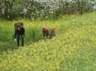 美丽乡村游：农民增收新渠道