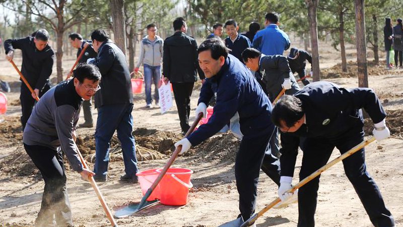 共和国部长为副中心播新绿 王安顺参加