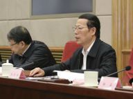 张高丽：提高城市规划建设管理水平