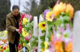 清明节，倡导安全、文明祭祀刻不容缓