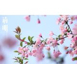 独家评论 丨 清明时节宁静致远