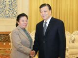 刘云山会见老挝人革党代表团