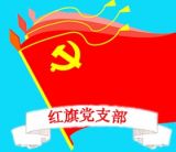  “从严治党到支部”打通最后一公里