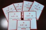 突出问题导向 确保“两学一做”学习教育取得成效