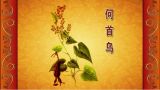 通经活络话藤药（1）