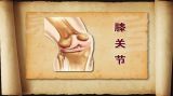乐享晚年“膝膝”相关（1）