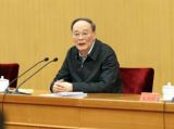 王岐山：全面从严治党不是口号