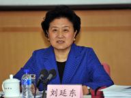 刘延东出席全国医改工作会议