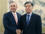 汪洋会见土耳其外长恰武什奥卢