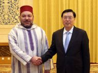 张德江会见摩洛哥国王穆罕默德六世