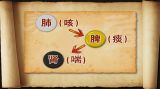 国医大师养生妙招——调肺肾