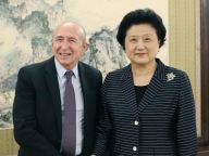 刘延东会见法国里昂市长