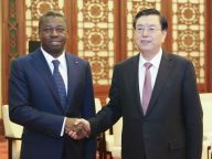 张德江会见多哥总统福雷