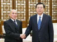 张德江会见柬埔寨国王西哈莫尼