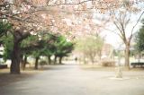 #我写高考作文# 青春似火耗有生  阅读如水积无形
